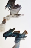 Gongora 2019 80 x 125 cm oel auf Leinwand.jpg